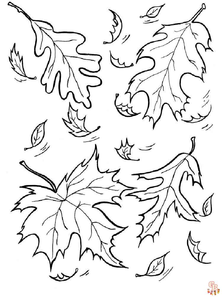 coloriage feuilles