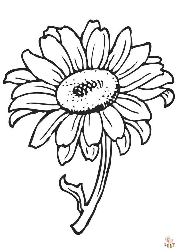 coloriage fleurs