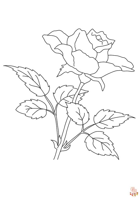 coloriage fleurs