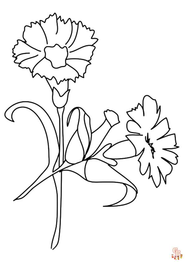 coloriage fleurs