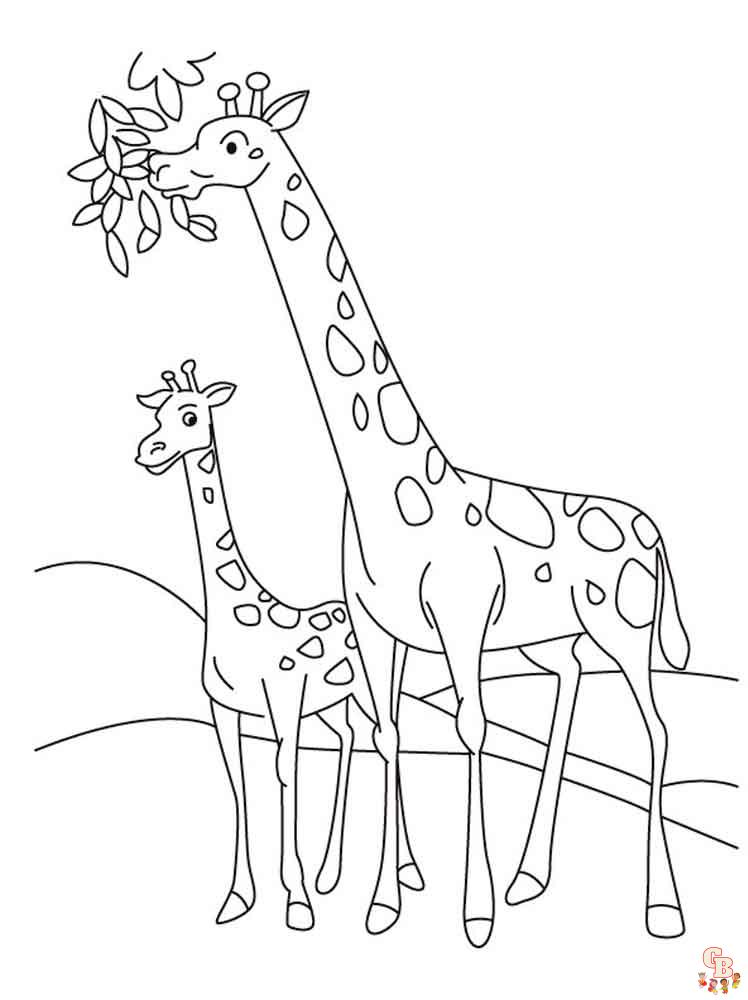 coloriage girafe