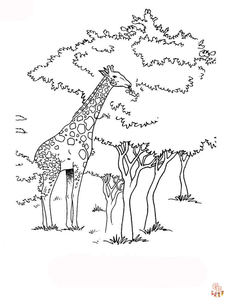 coloriage girafe