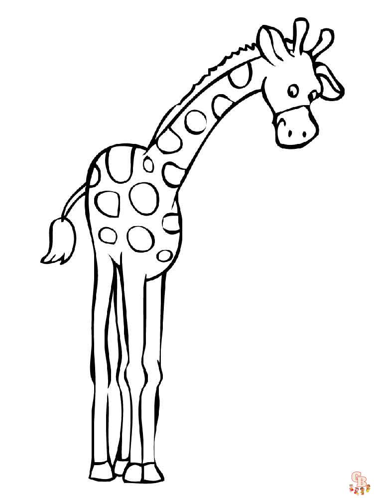 coloriage girafe