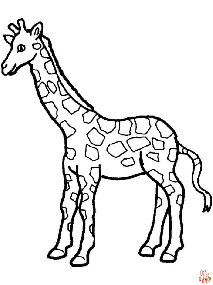 coloriage girafe