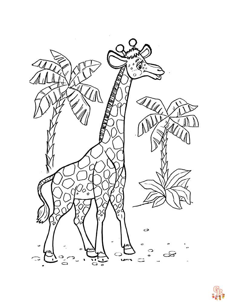 coloriage girafe