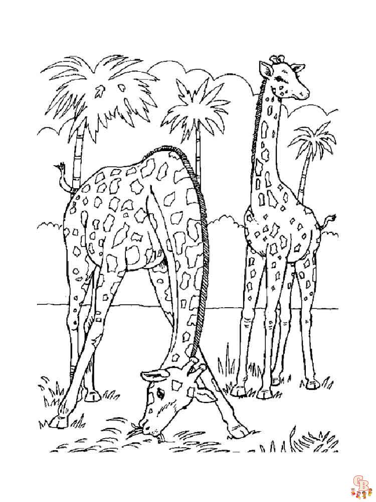 coloriage girafe