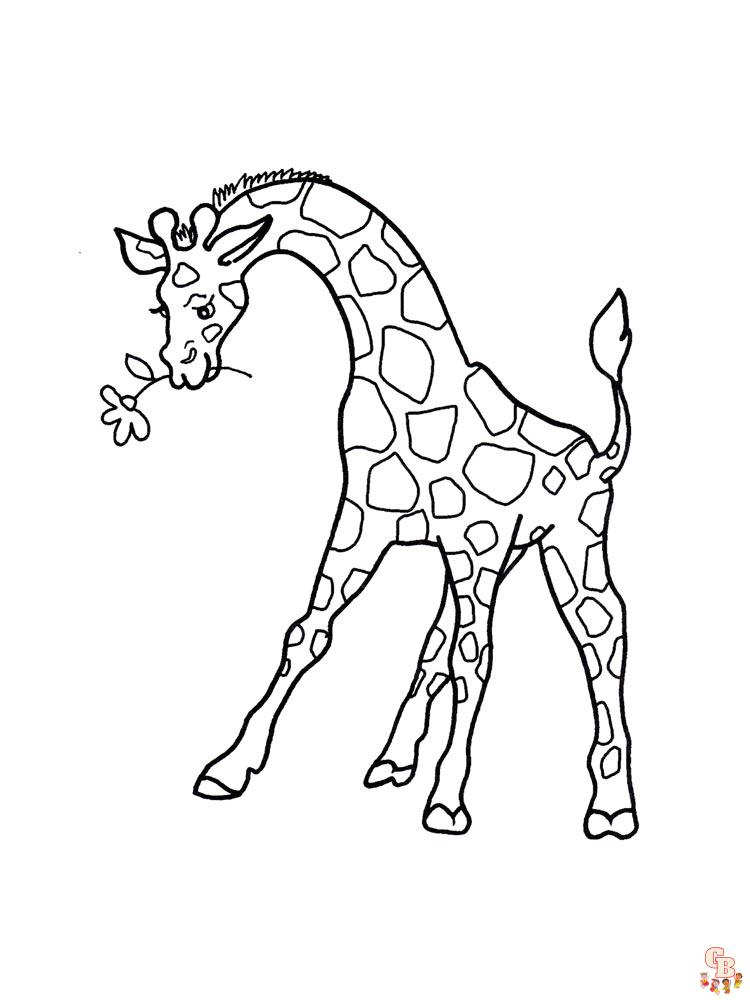 coloriage girafe