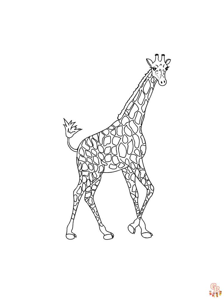 coloriage girafe