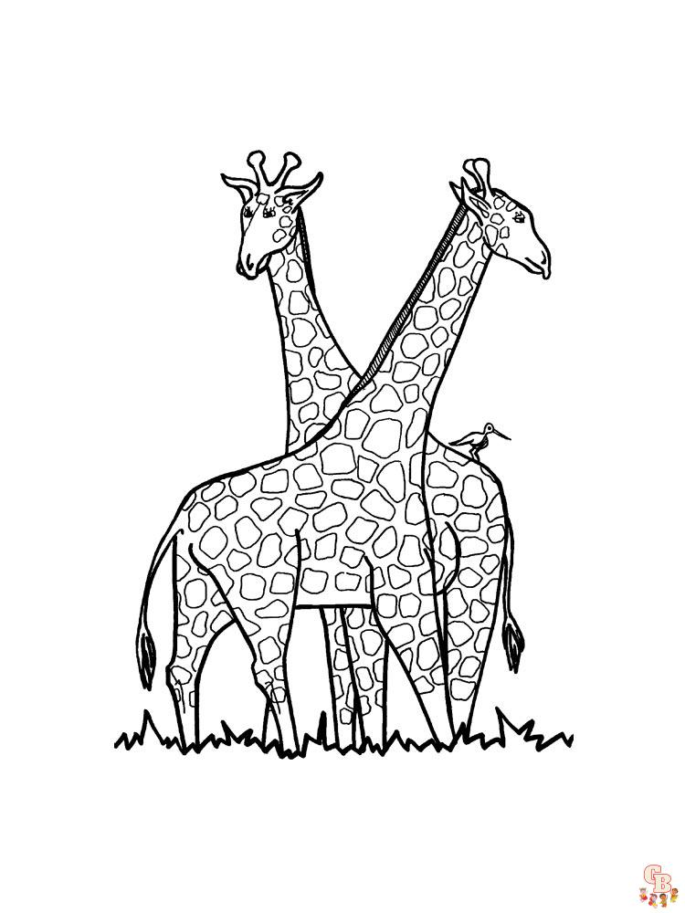 coloriage girafe