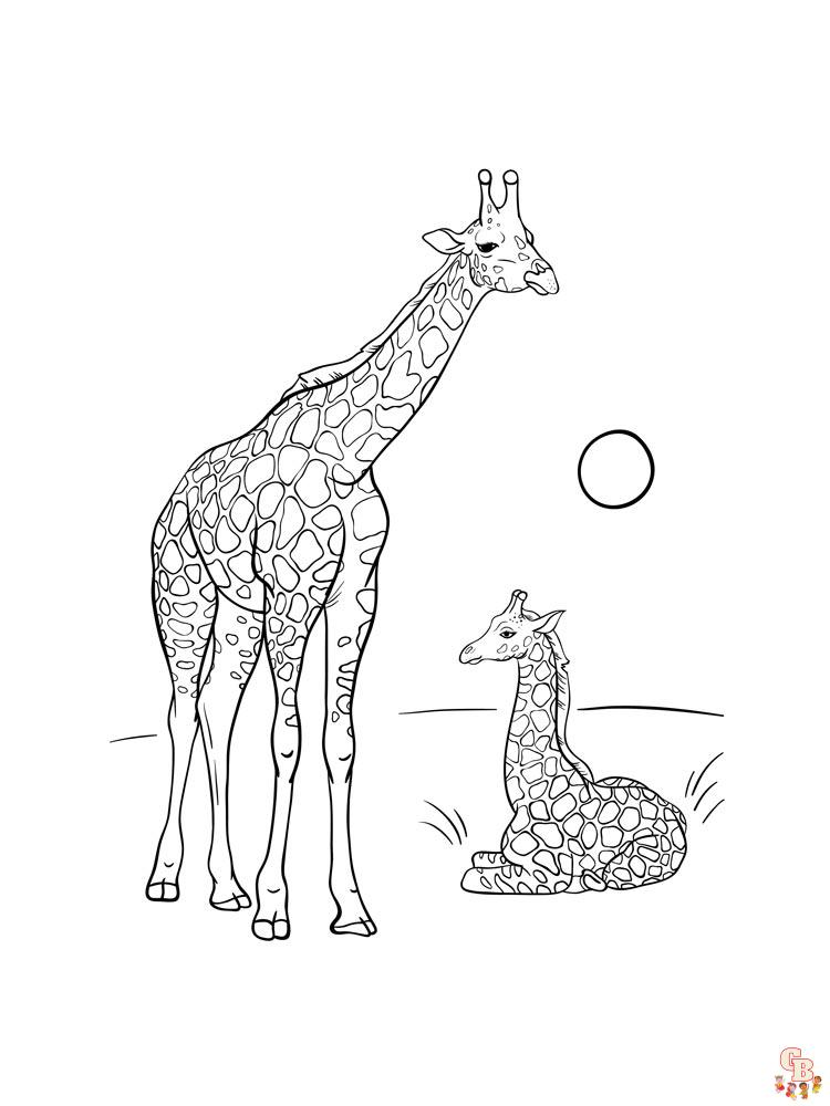 coloriage girafe