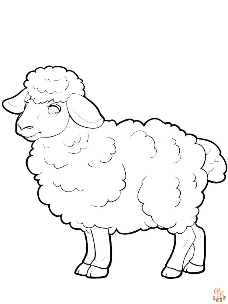 coloriage moutons