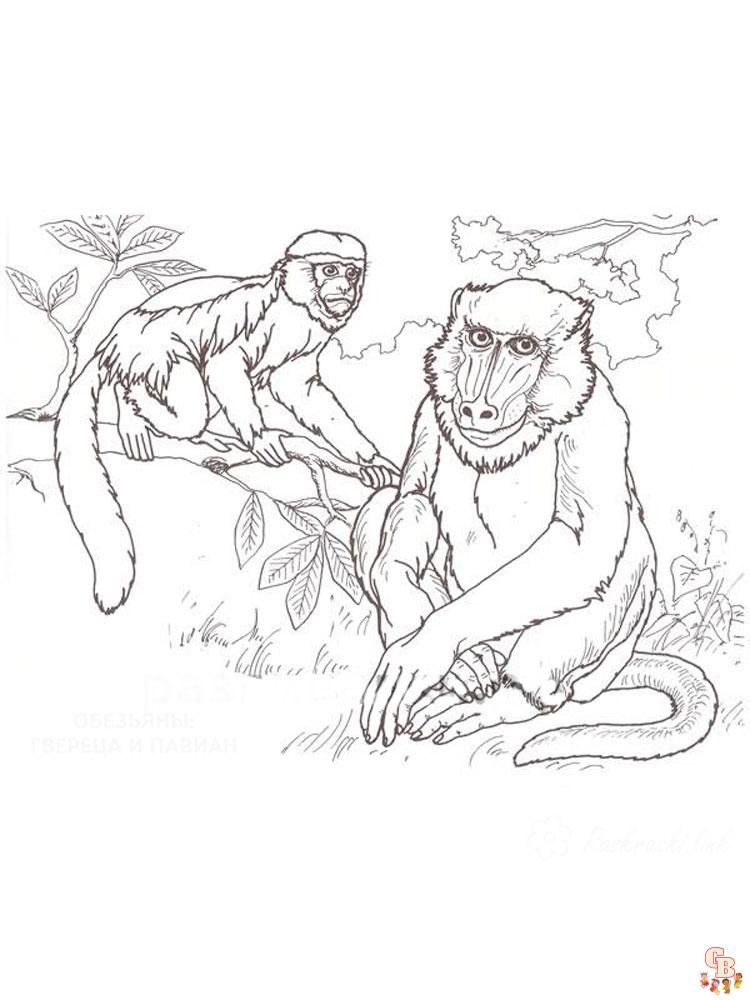 coloriage singe