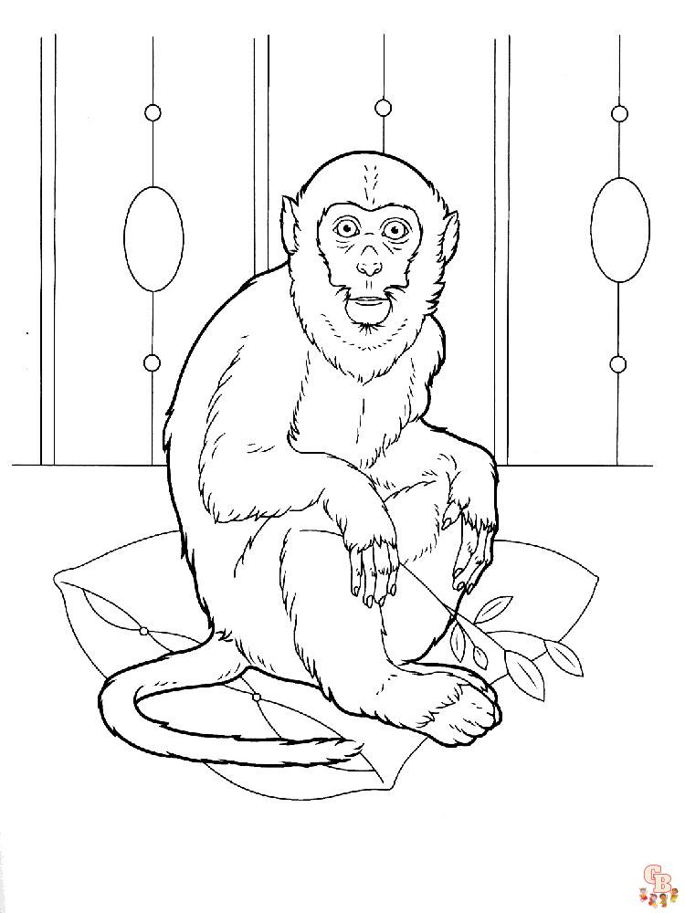 coloriage singe