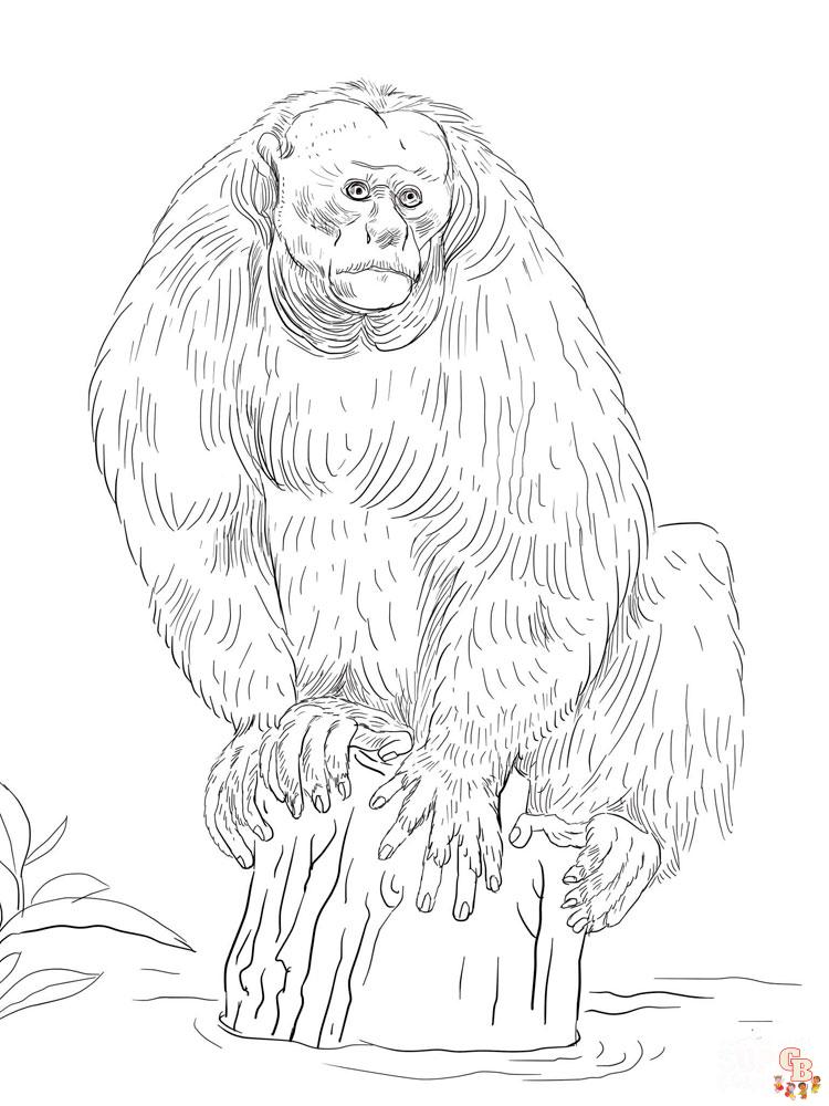 coloriage singe