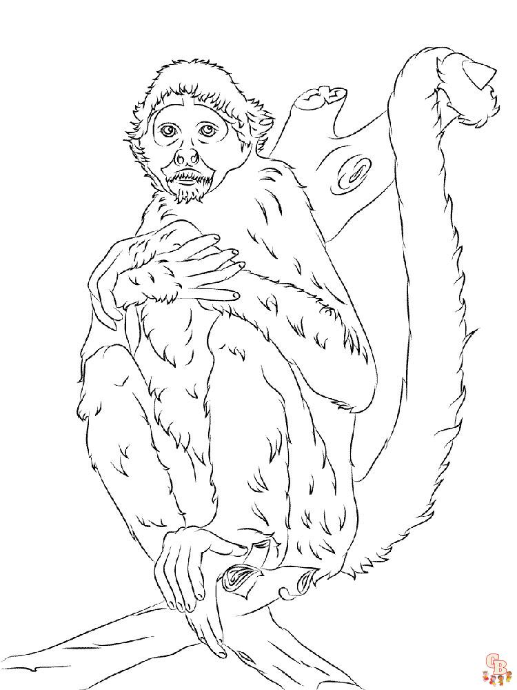 coloriage singe