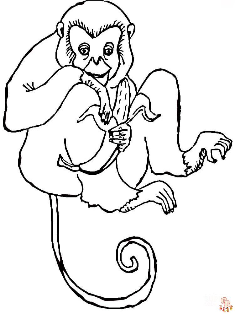 coloriage singe