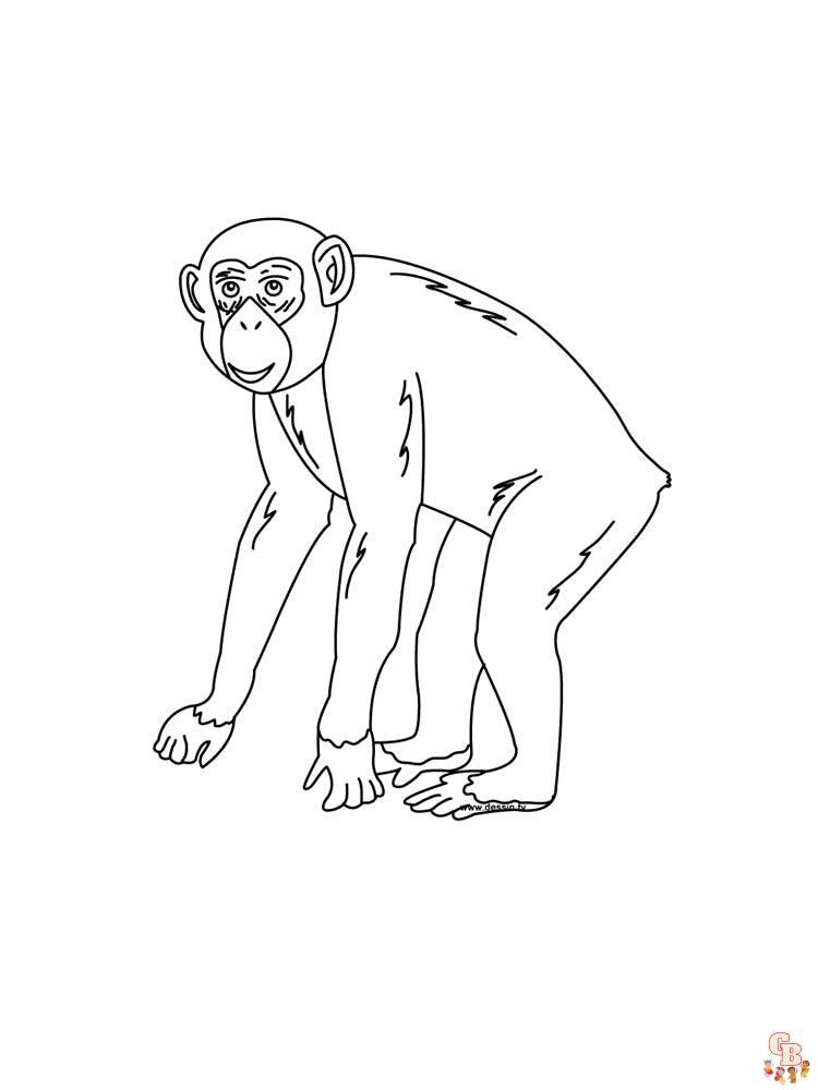 coloriage singe