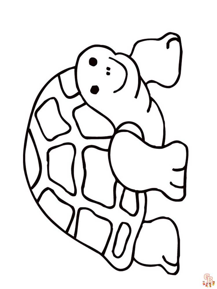 coloriage tortues