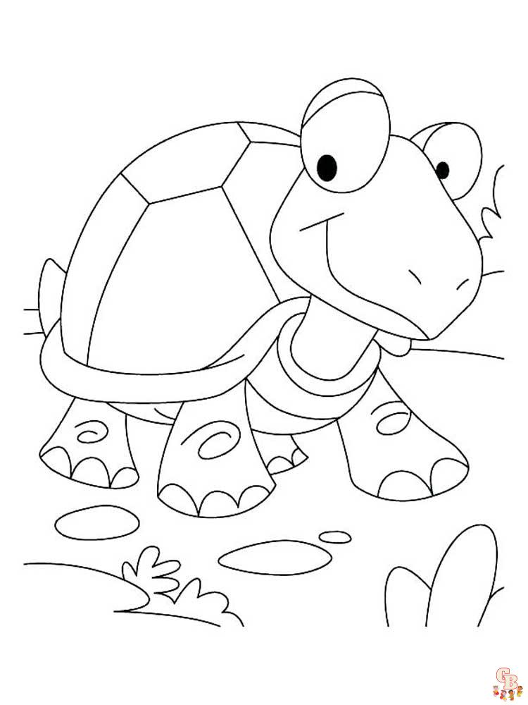 coloriage tortues