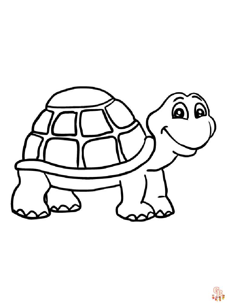 coloriage tortues