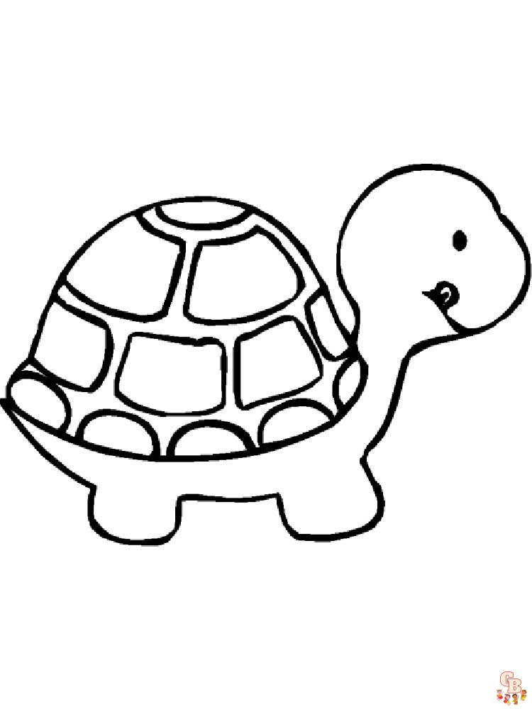 coloriage tortues