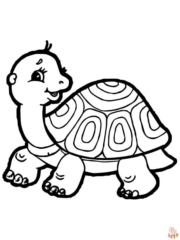 coloriage tortues