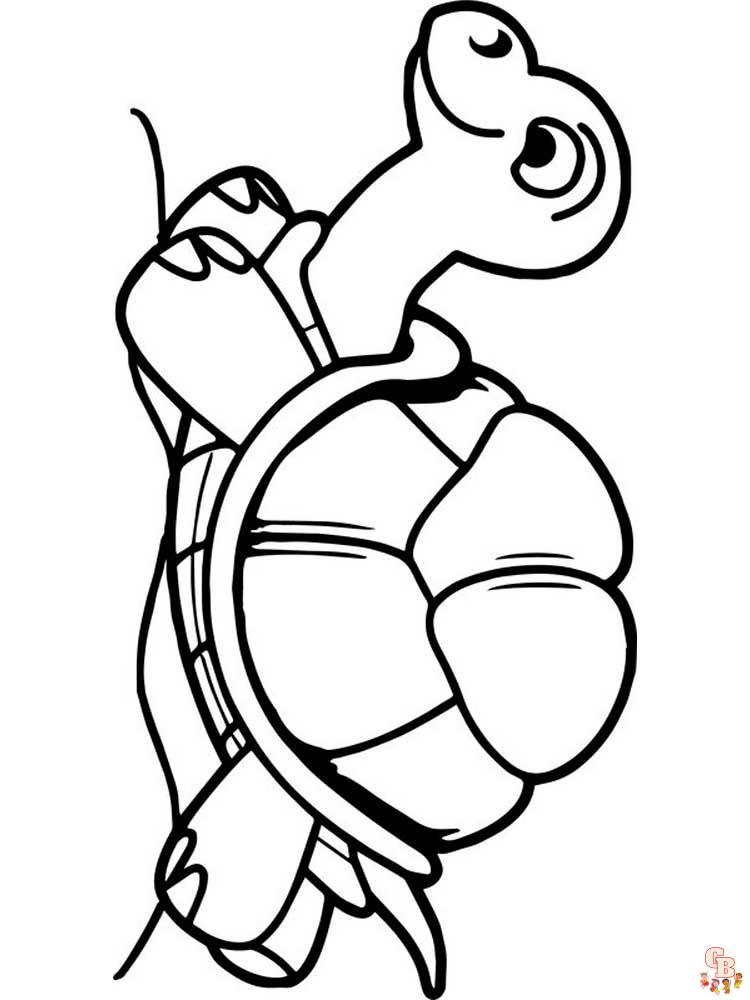 coloriage tortues