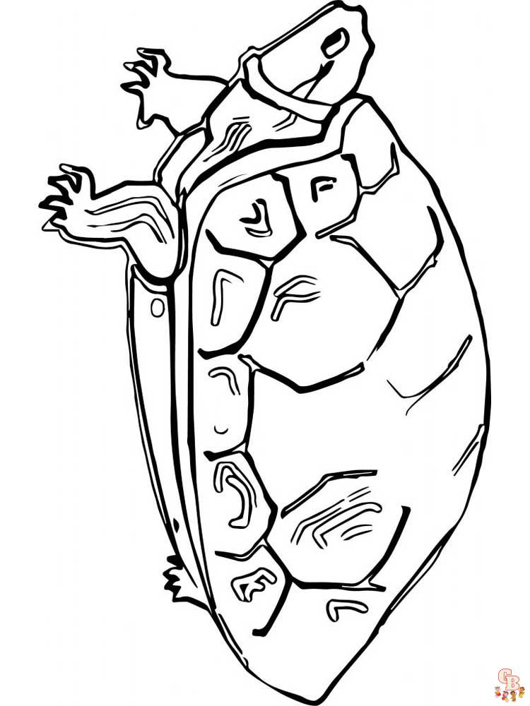 coloriage tortues