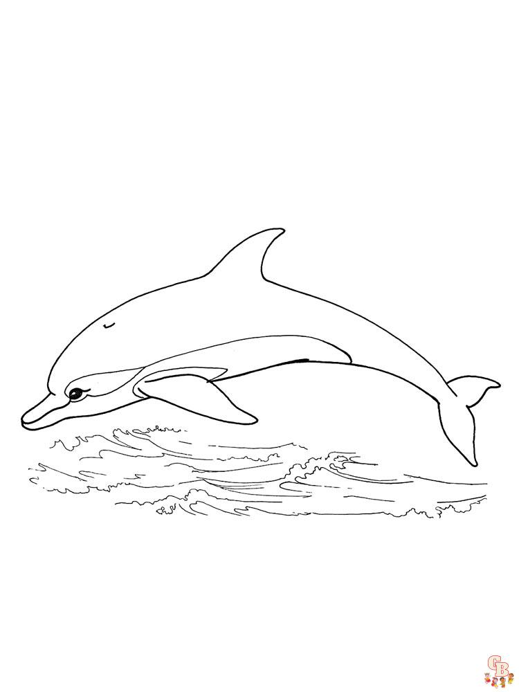 dauphins coloriage