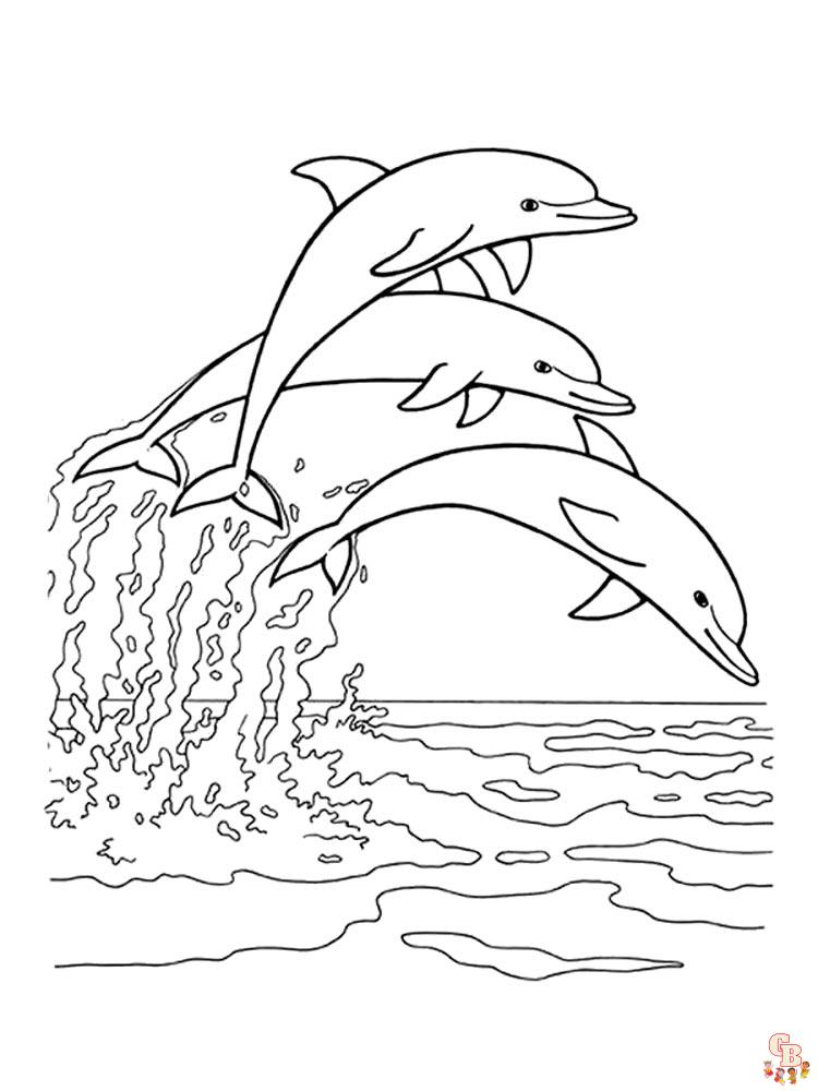 dauphins coloriage