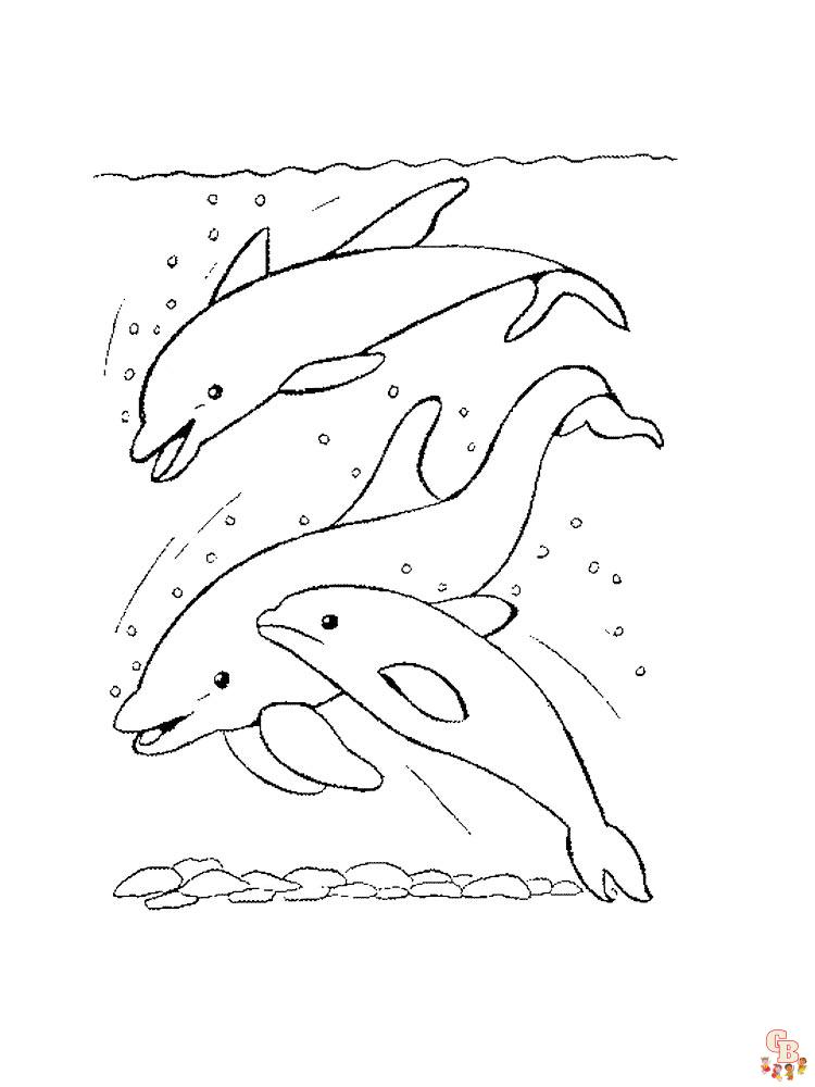 dauphins coloriage