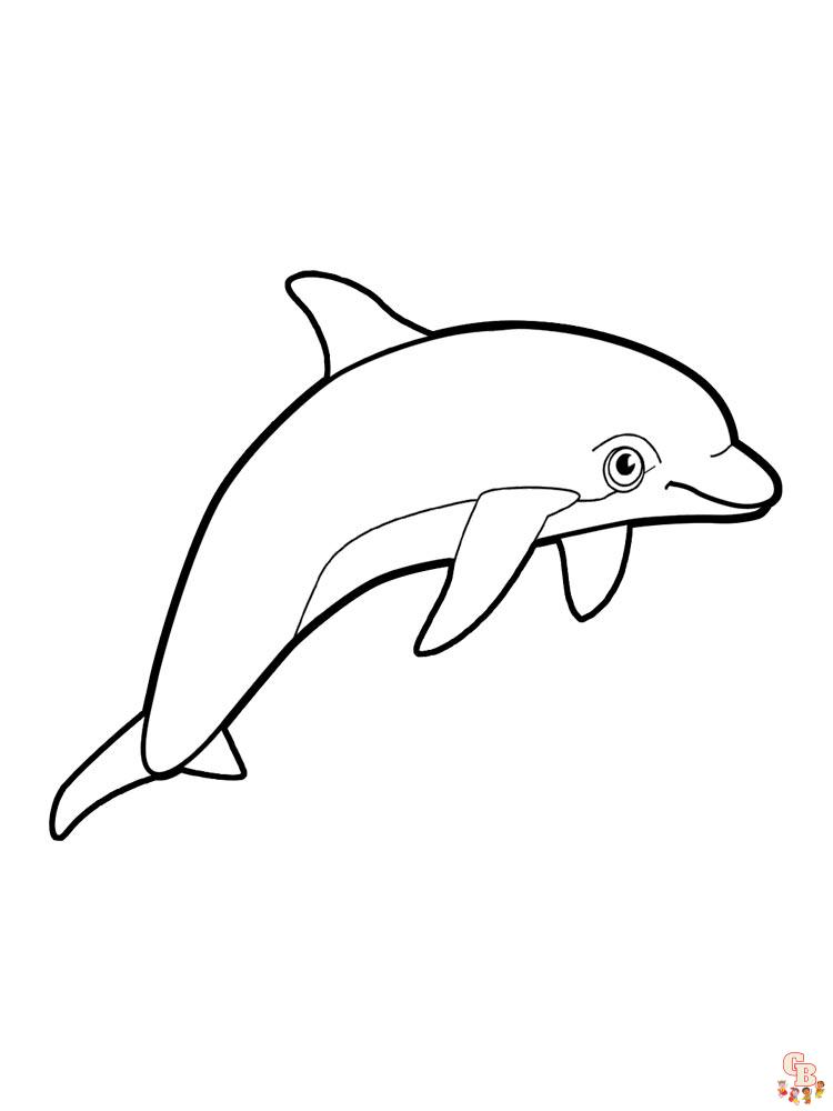 dauphins coloriage