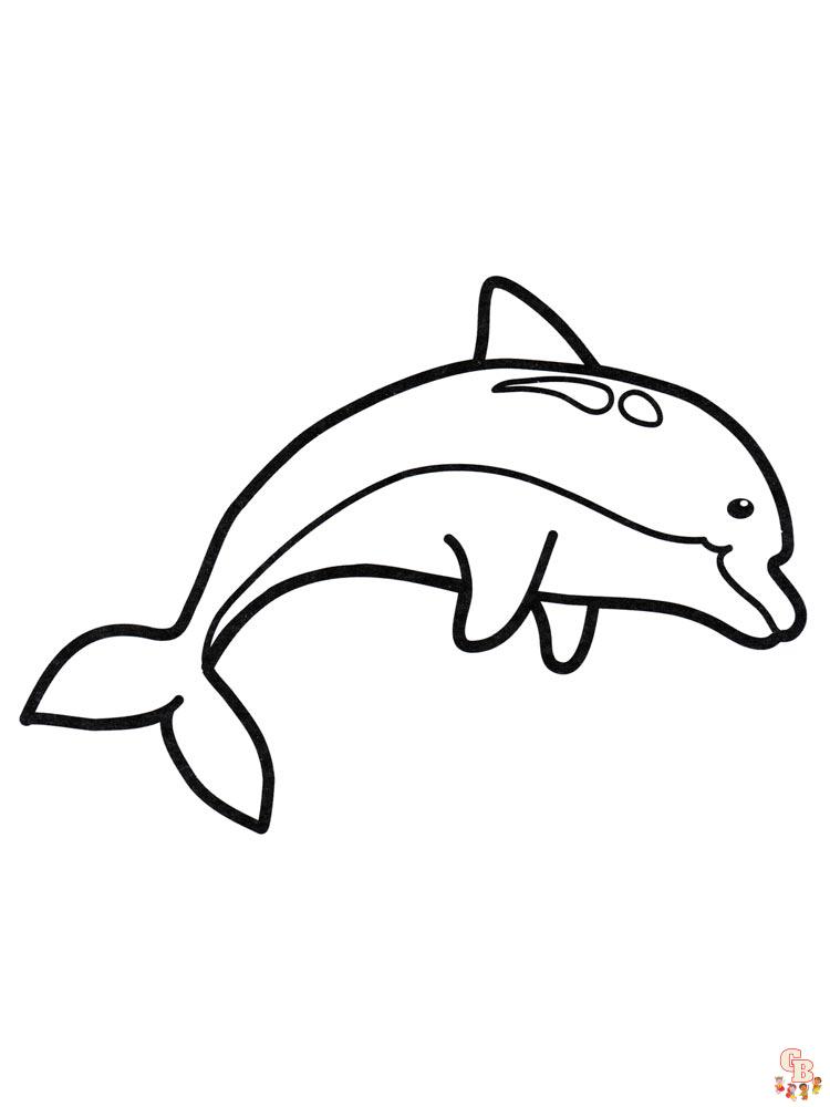 dauphins coloriage