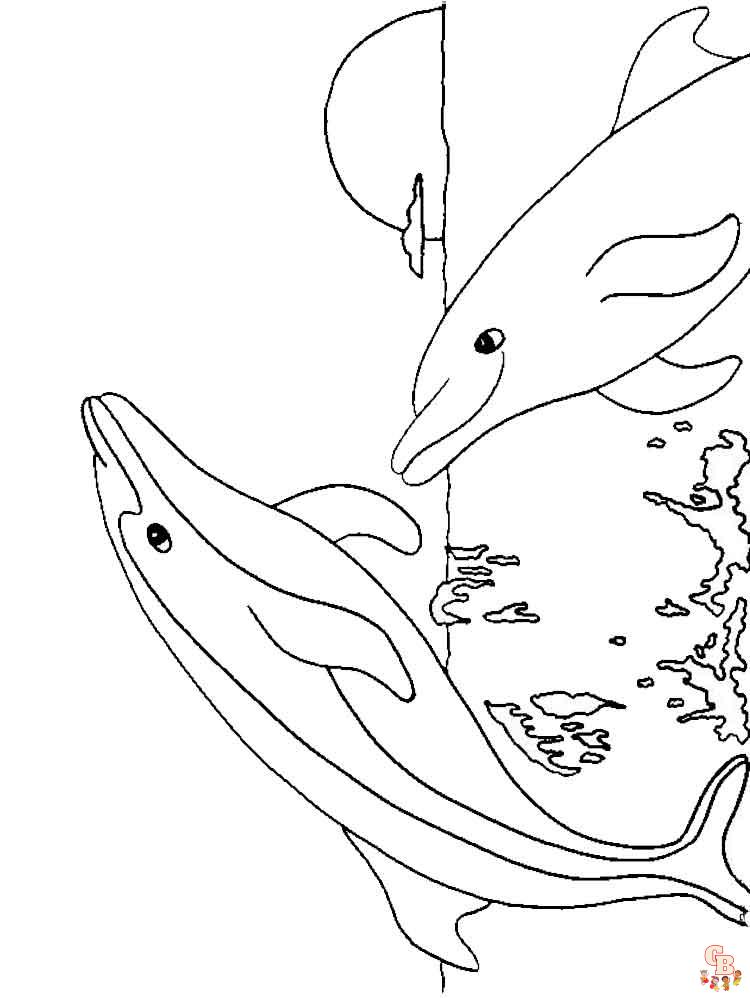 dauphins coloriage