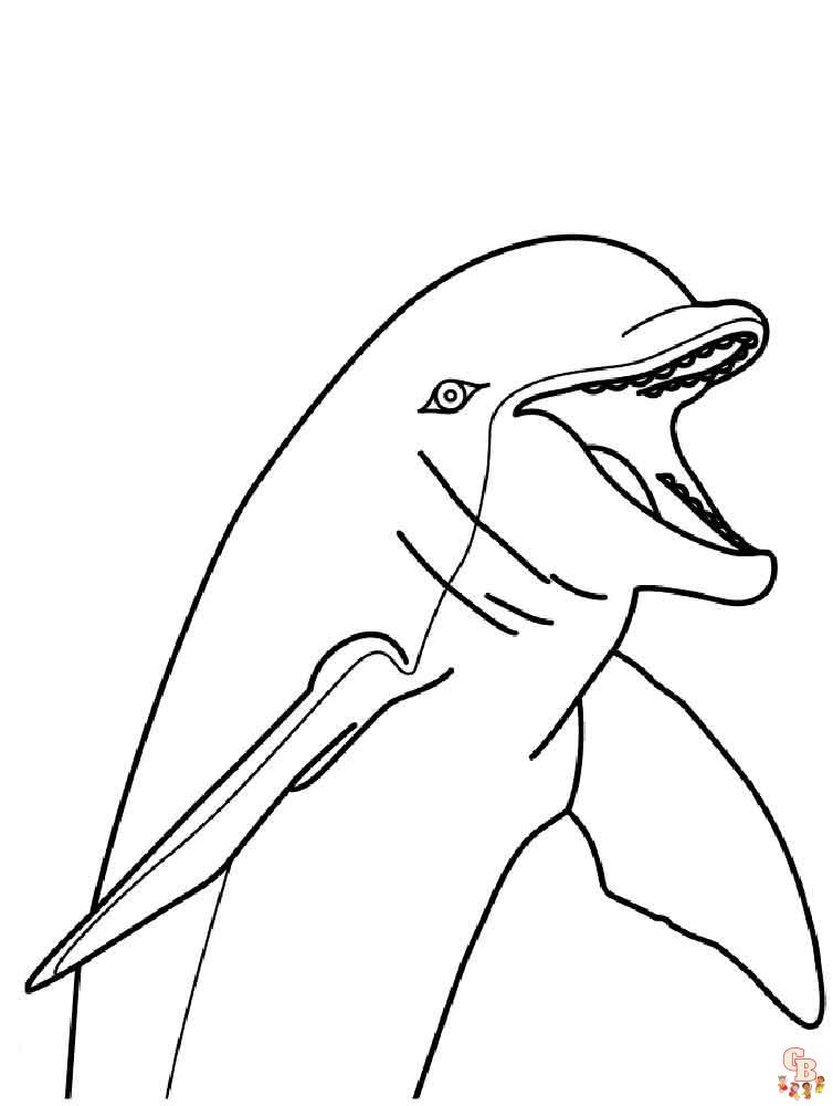 dauphins coloriage