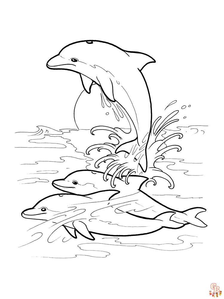 dauphins coloriage