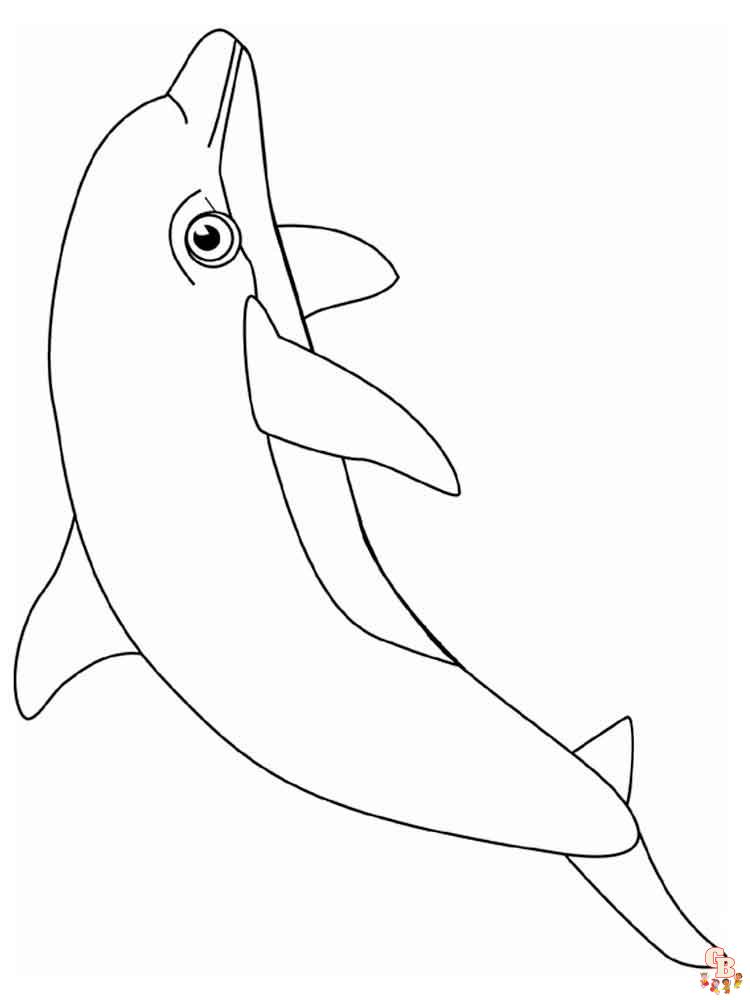 dauphins coloriage