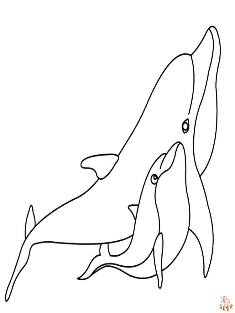 dauphins coloriage