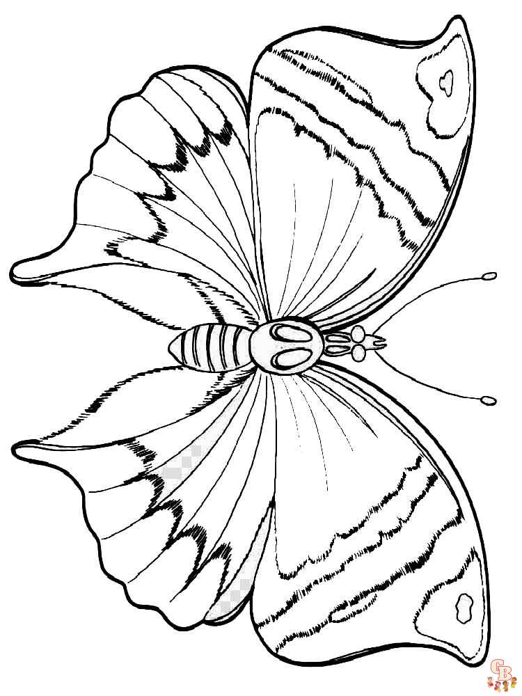 papillons