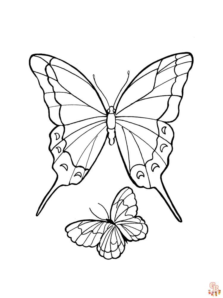 papillons