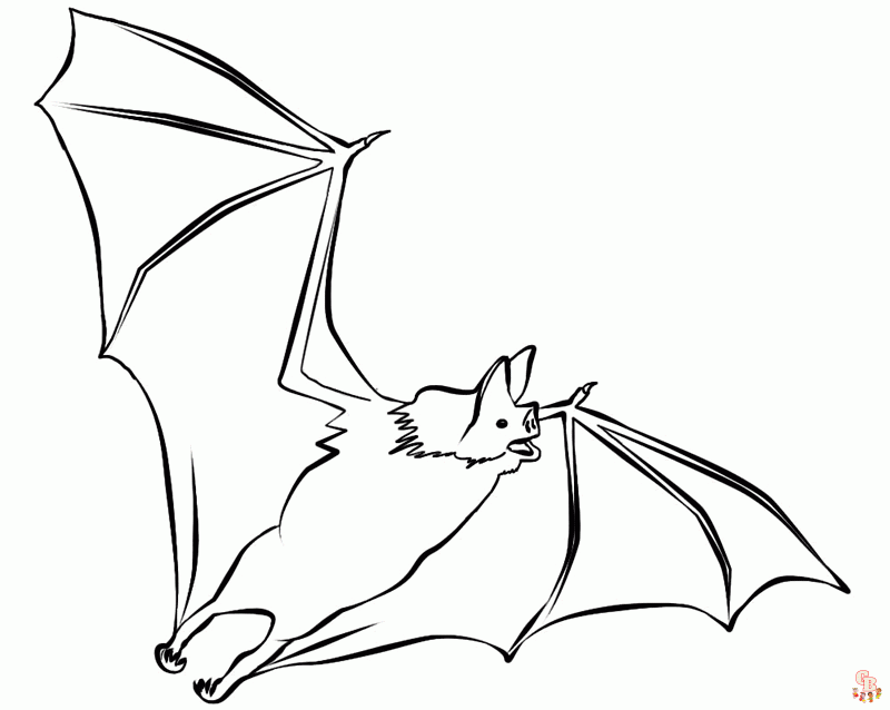 Coloriage chauves souris