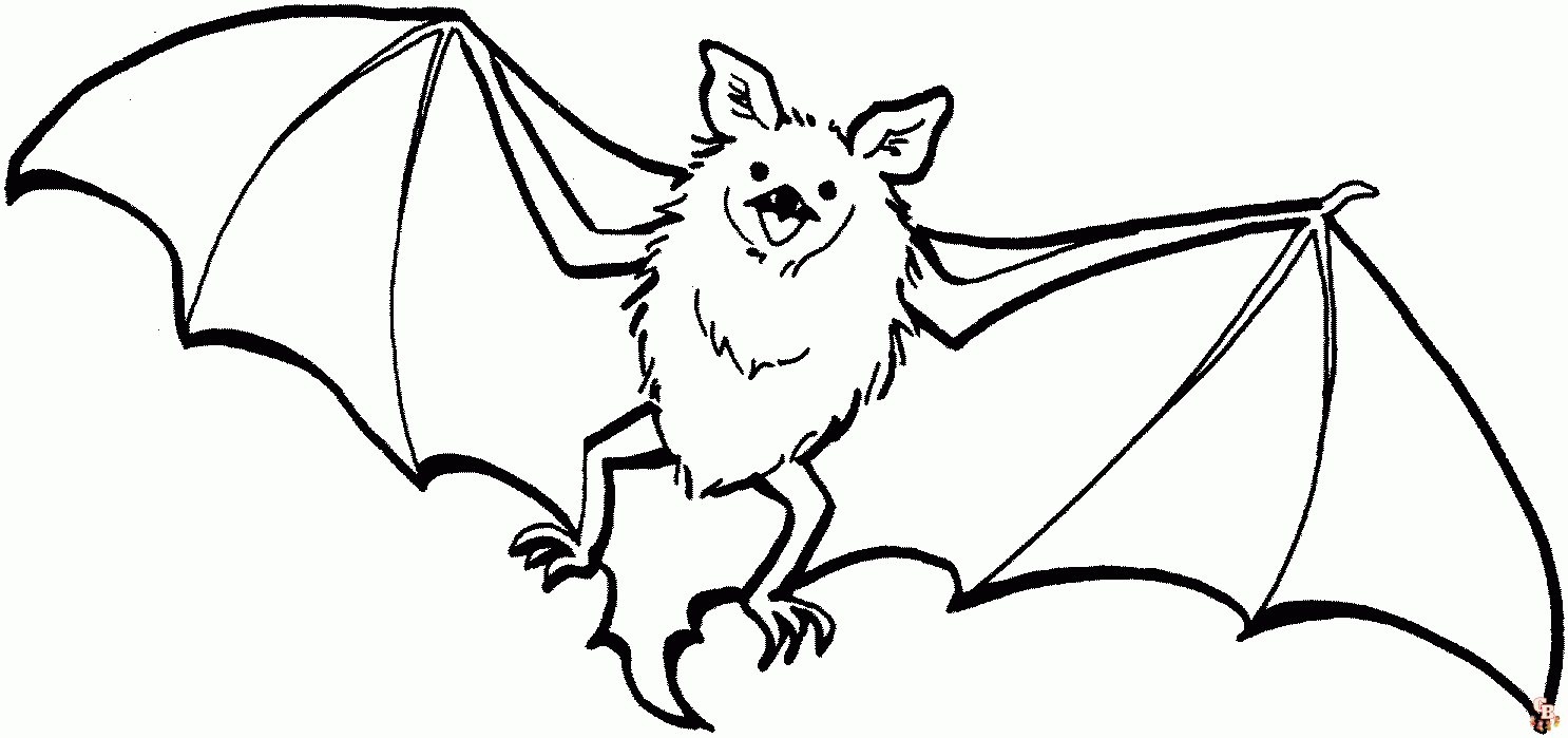 Coloriage chauves souris