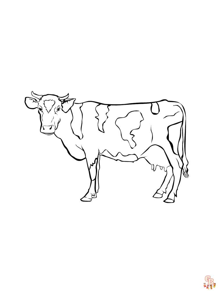 Coloriage vaches