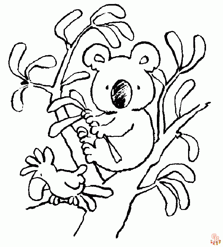 coloriage Koala