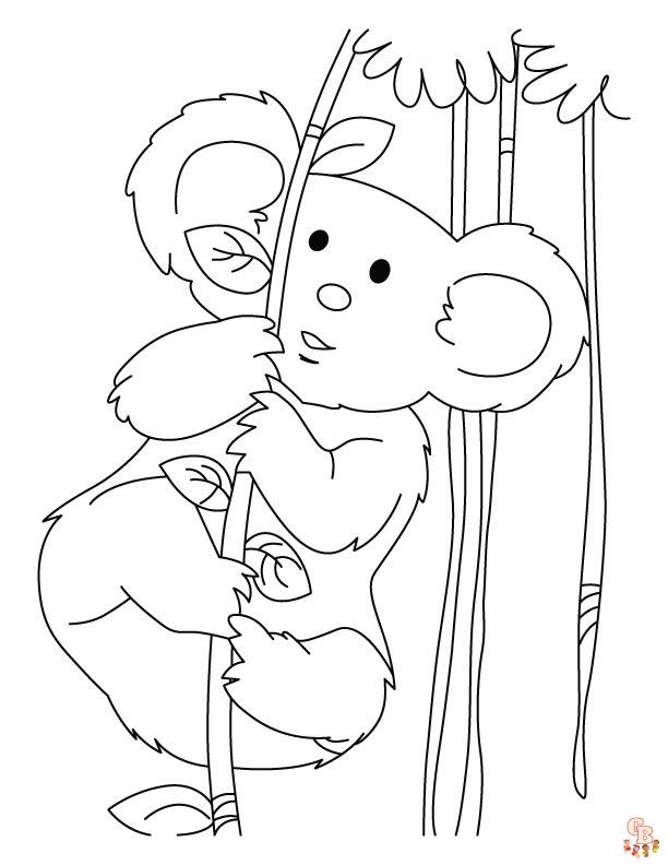 coloriage Koala