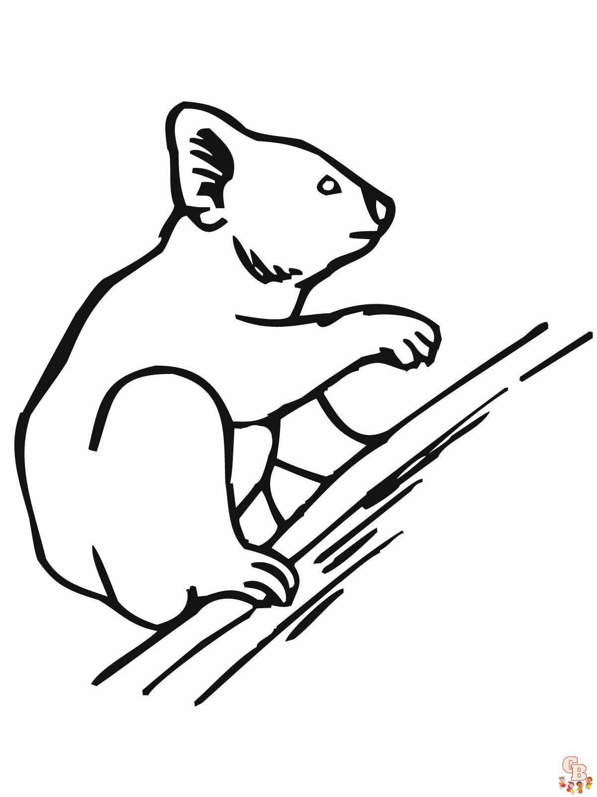 coloriage Koala