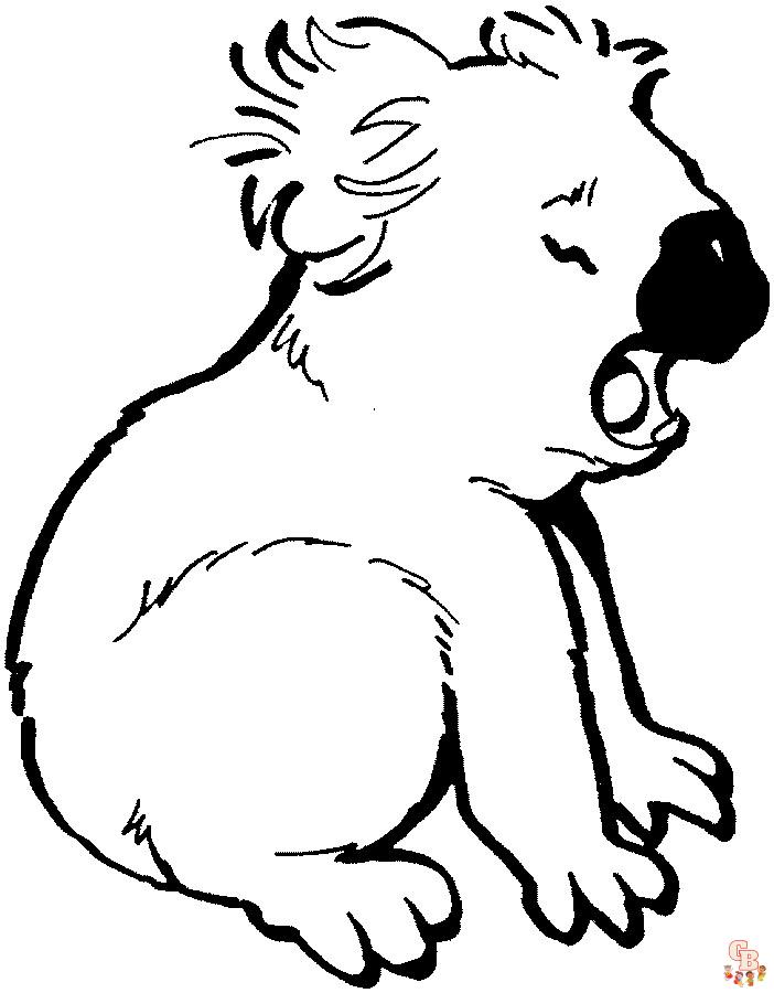 coloriage Koala