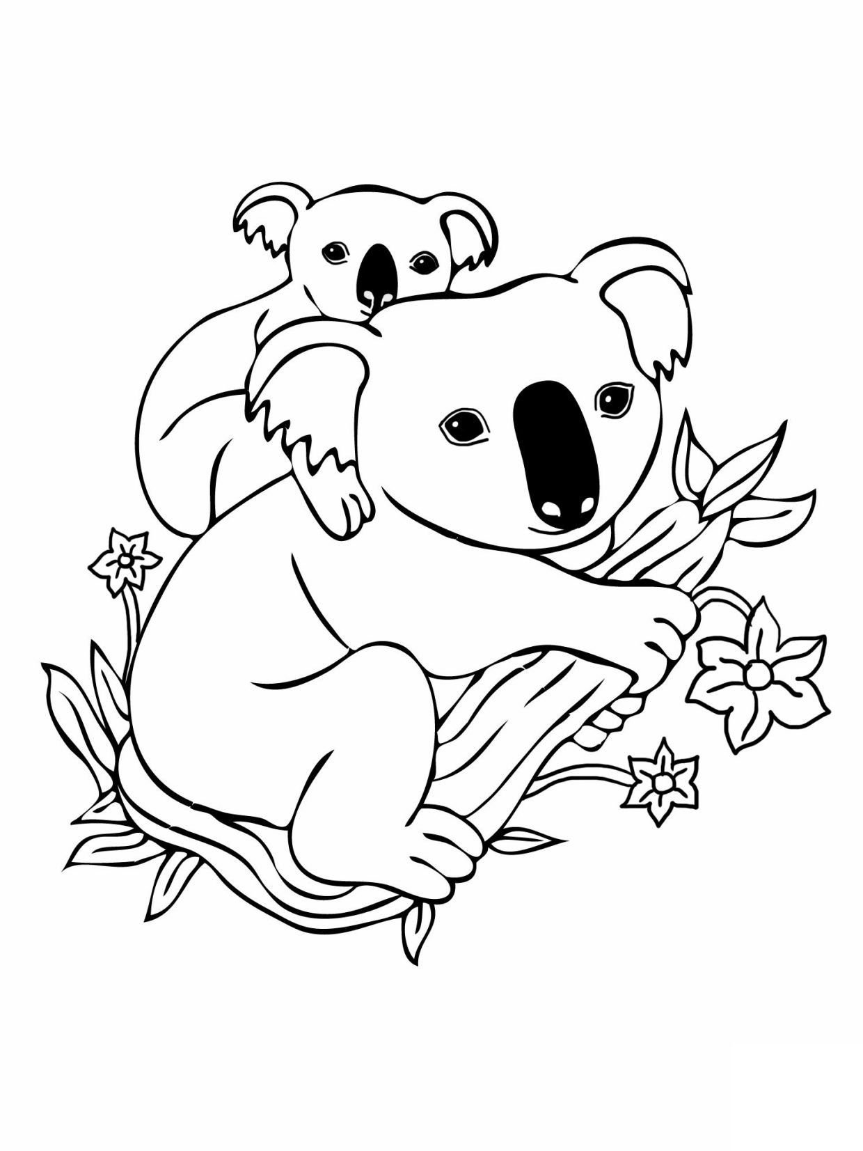 coloriage Koala