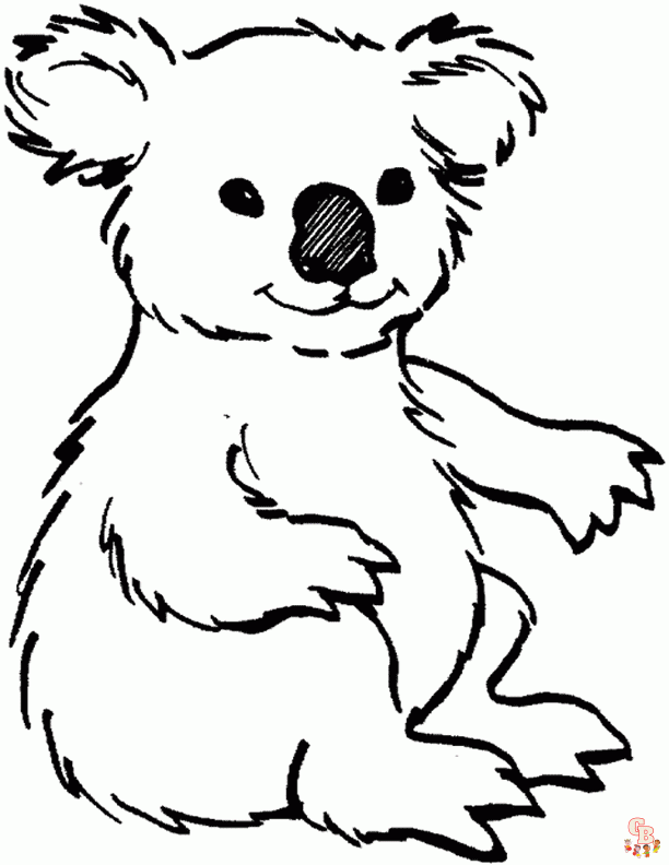 coloriage Koala