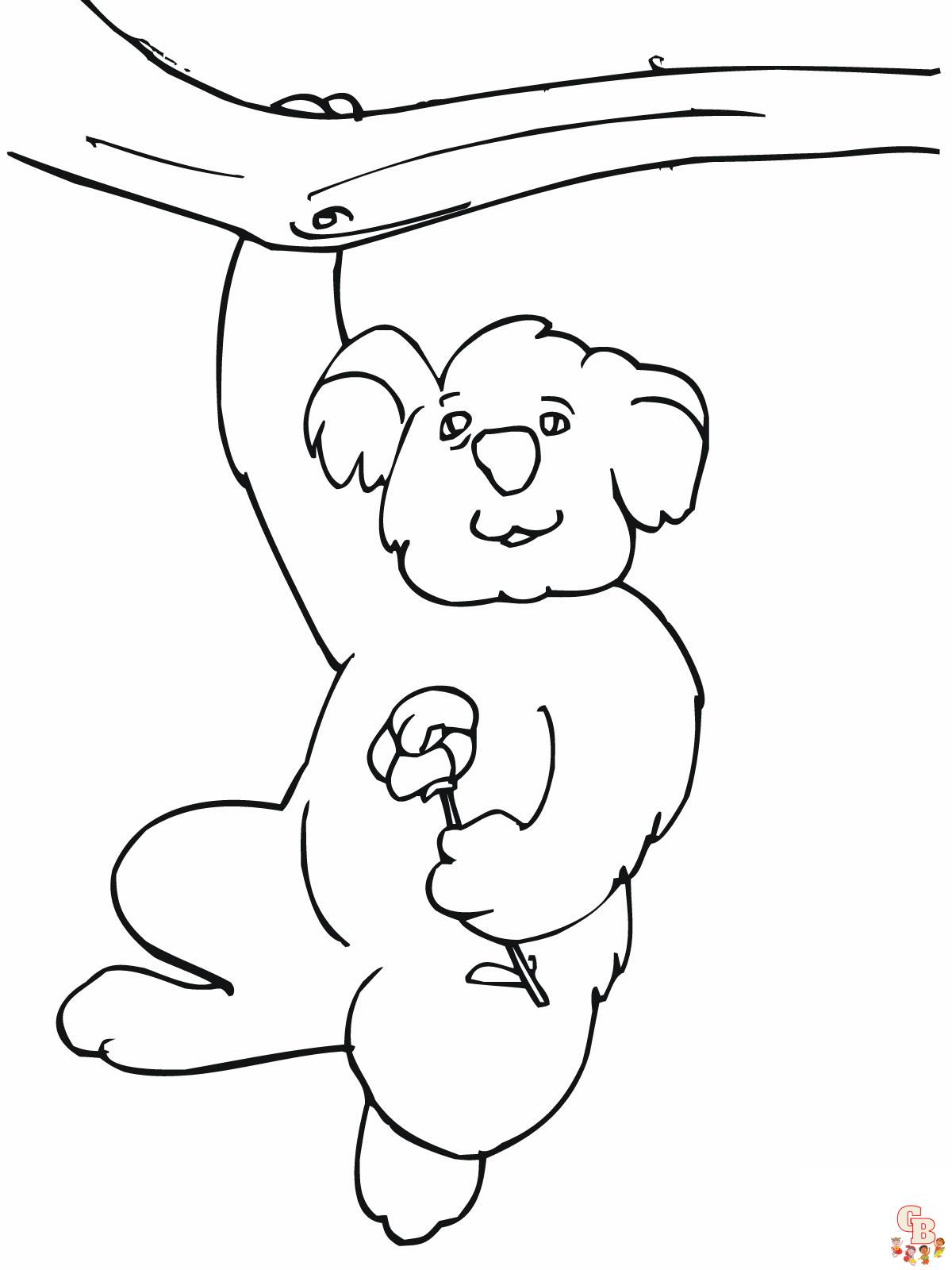 coloriage Koala